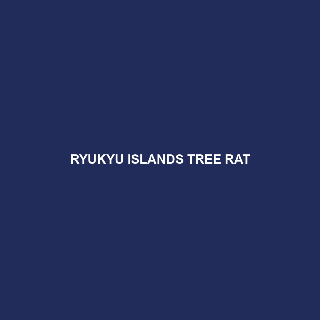 Ryukyu Islands Tree Rat