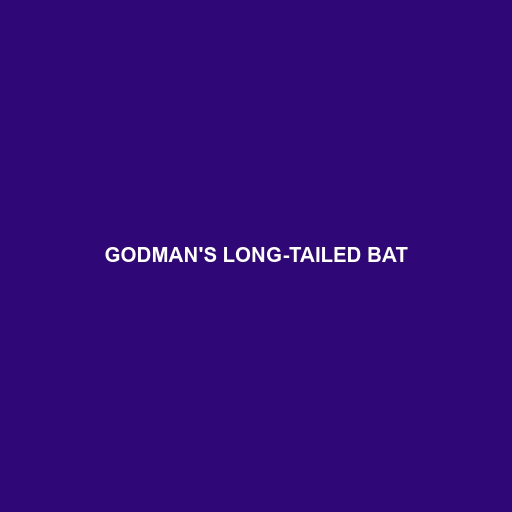 Godman's Long-tailed Bat