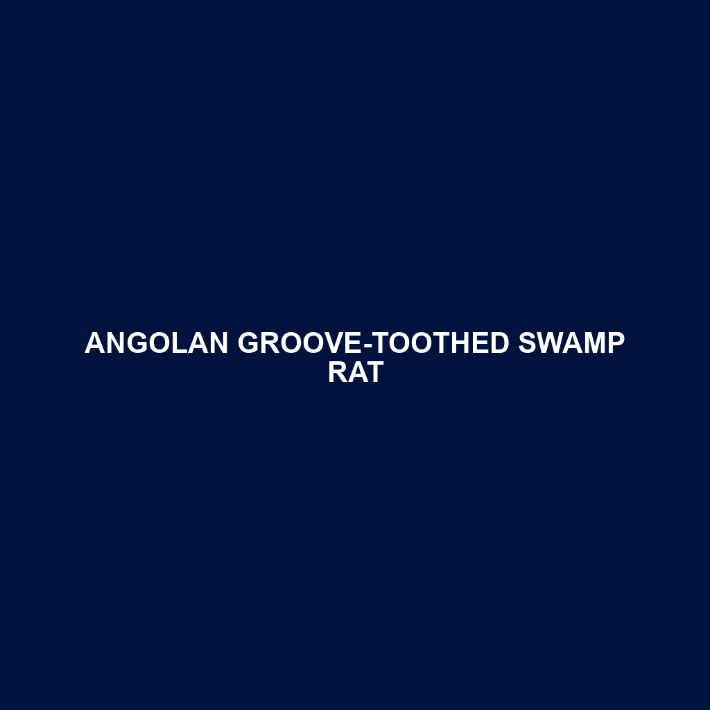 Angolan Groove-toothed Swamp Rat