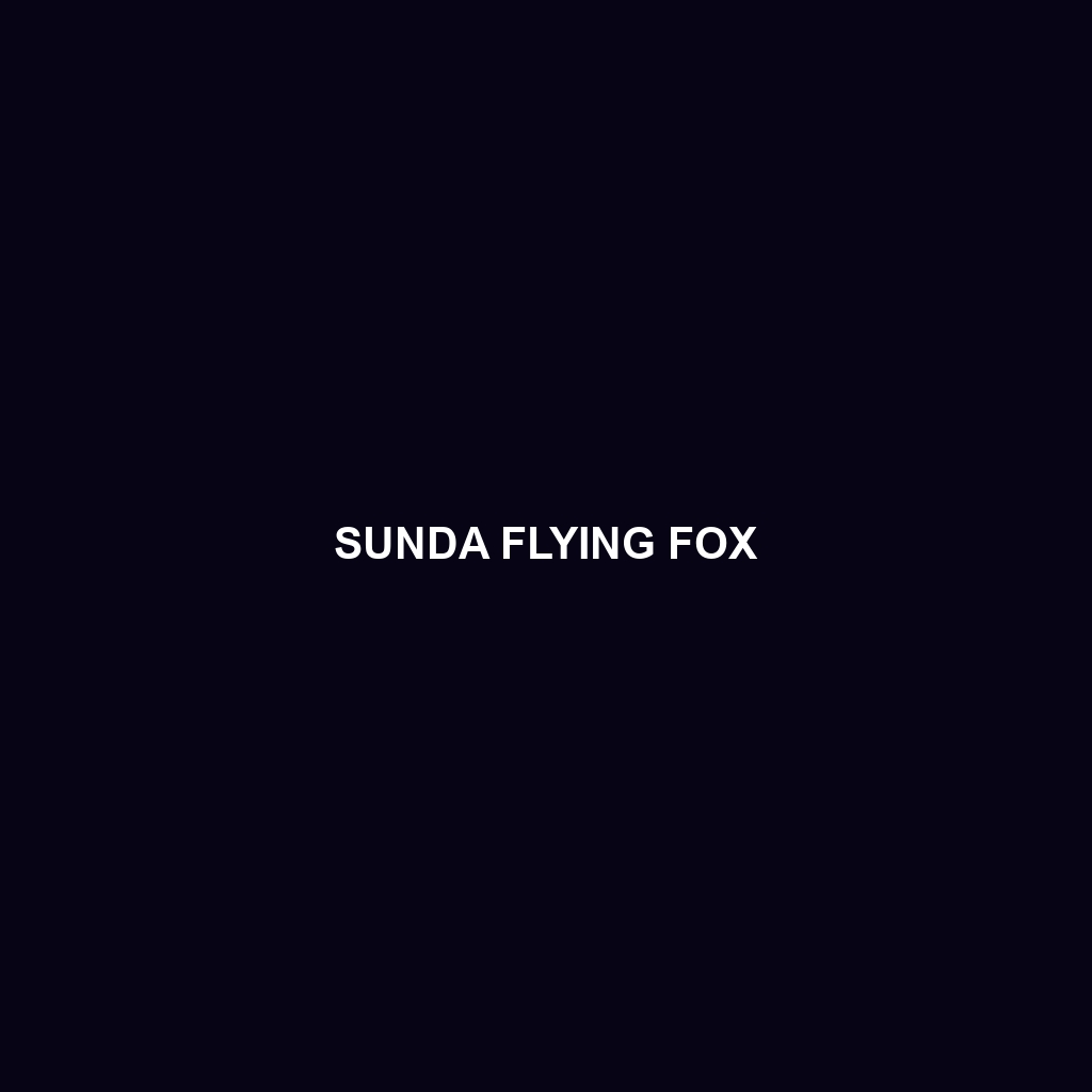 Sunda Flying Fox