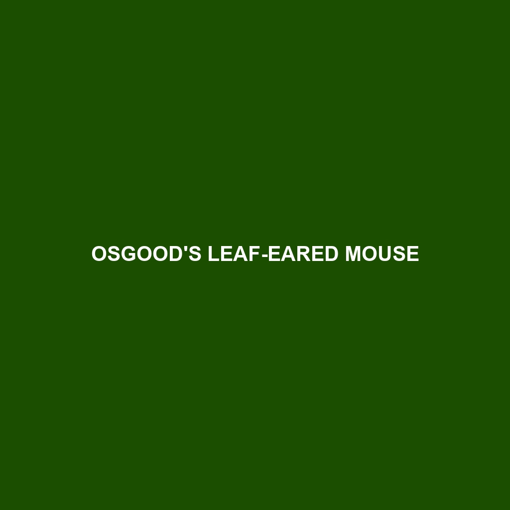 Osgood's Leaf-eared Mouse