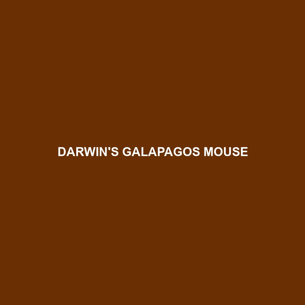 Darwin's Galapagos Mouse