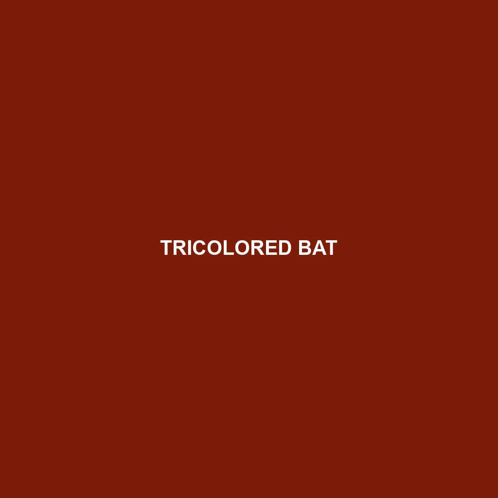 Tricolored Bat