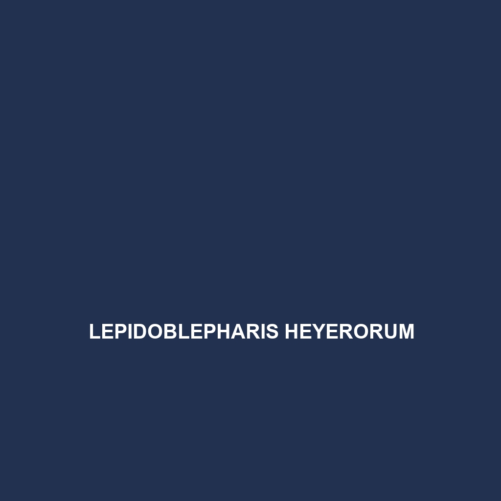 Lepidoblepharis heyerorum