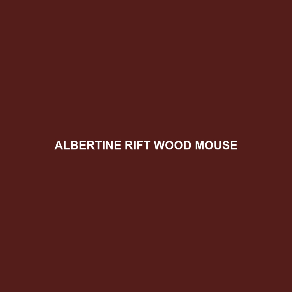 Albertine Rift Wood Mouse