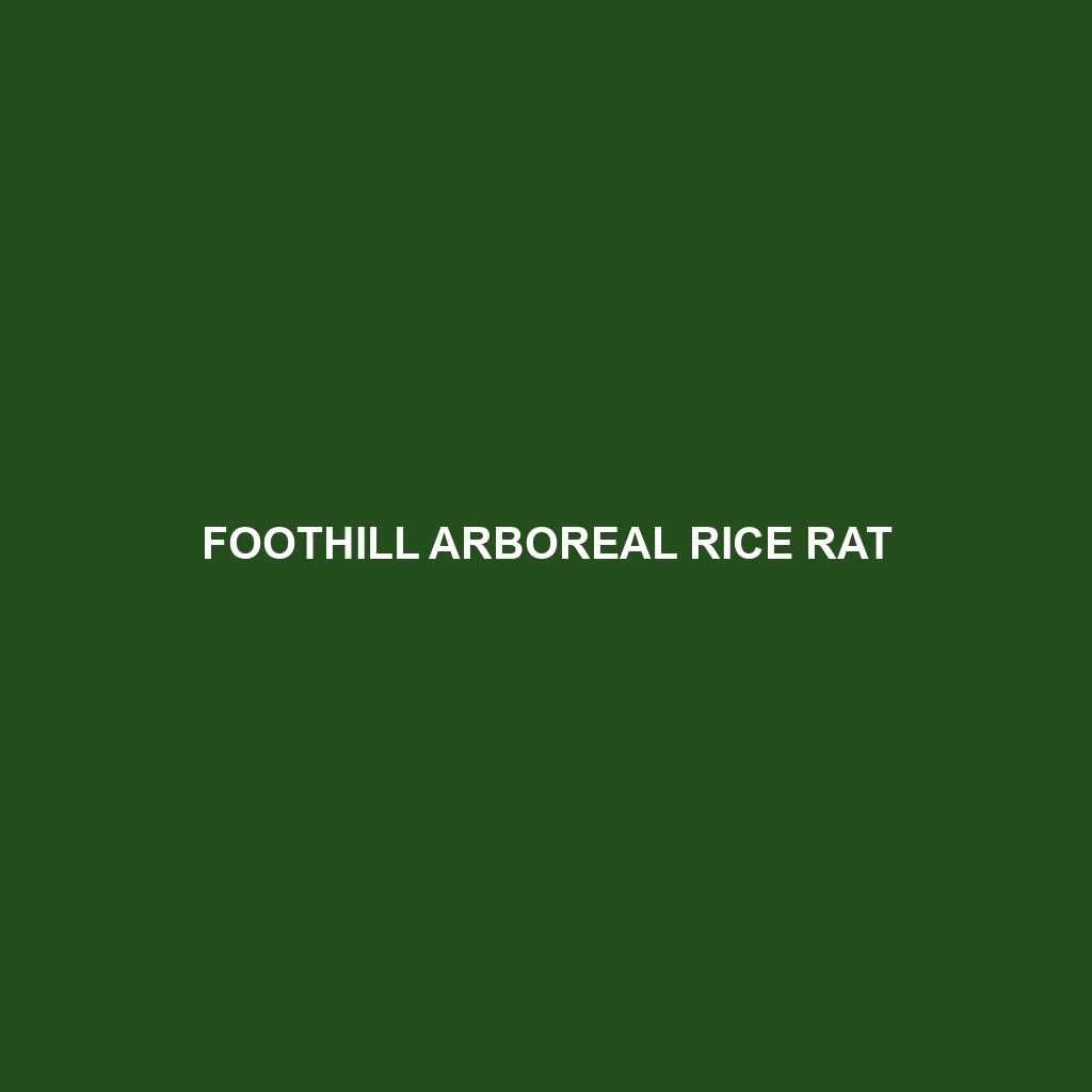 Foothill Arboreal Rice Rat