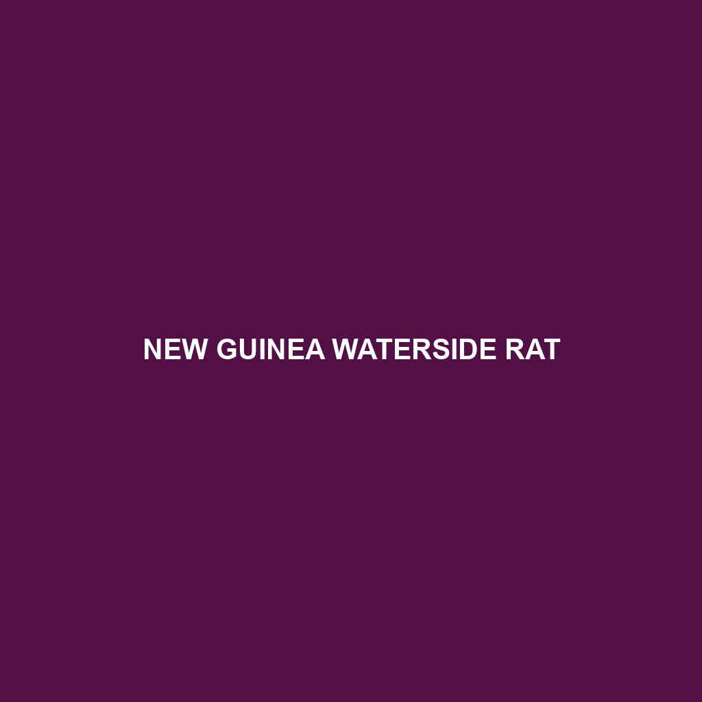 New Guinea Waterside Rat