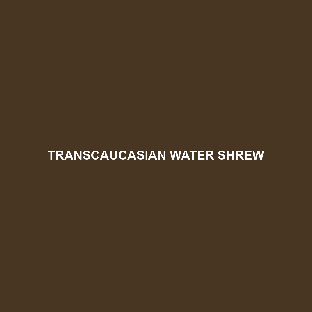 Transcaucasian Water Shrew