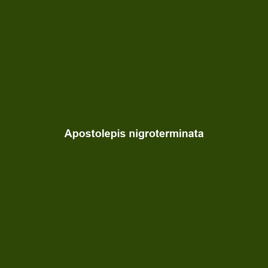 Apostolepis nigroterminata