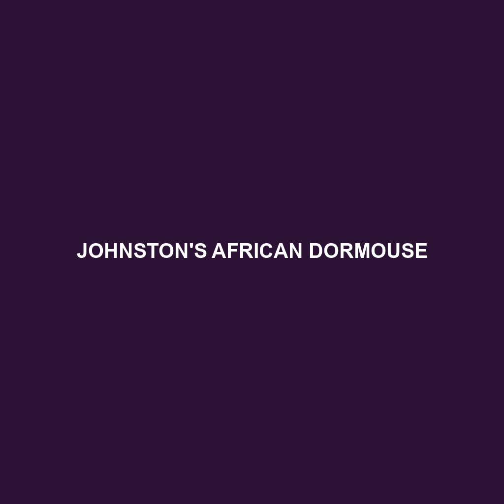 Johnston's African Dormouse