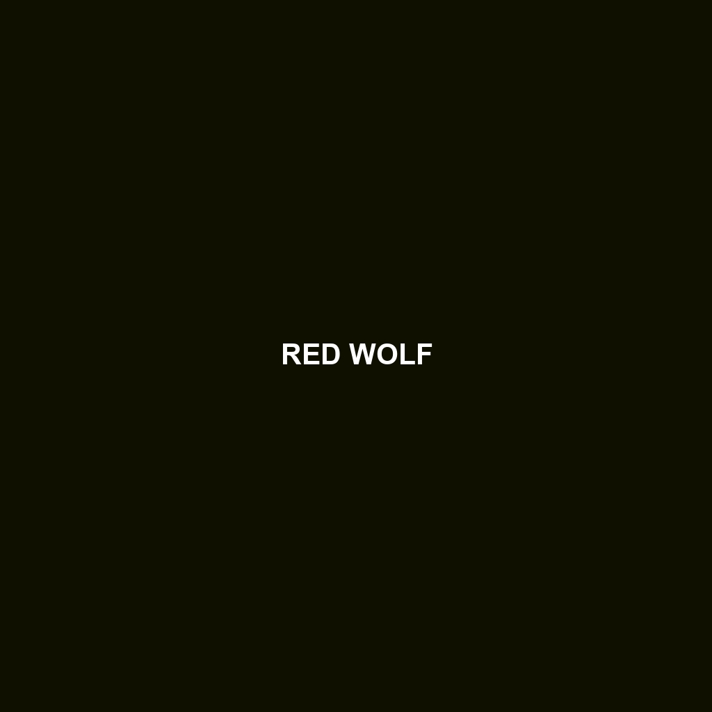 Red Wolf