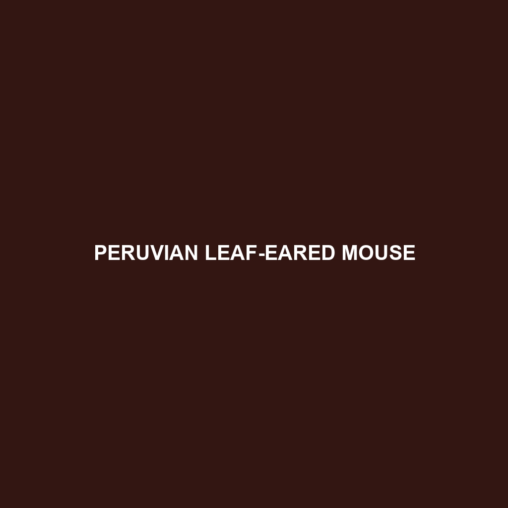 Peruvian Leaf-eared Mouse