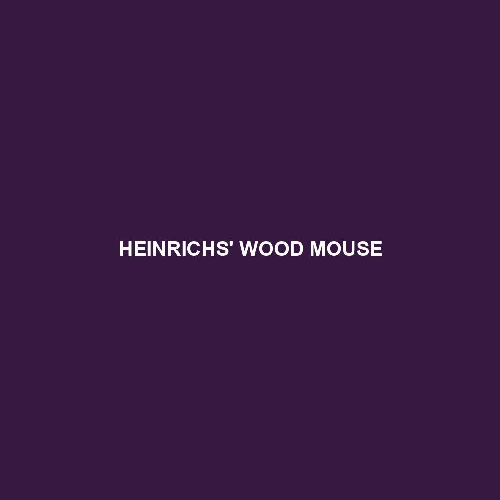 Heinrichs' Wood Mouse