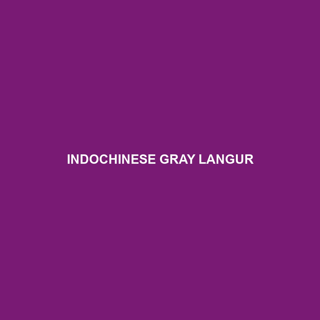 Indochinese Gray Langur