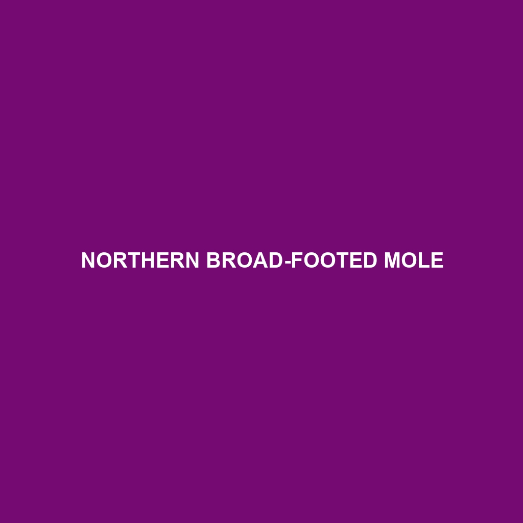 Northern Broad-footed Mole