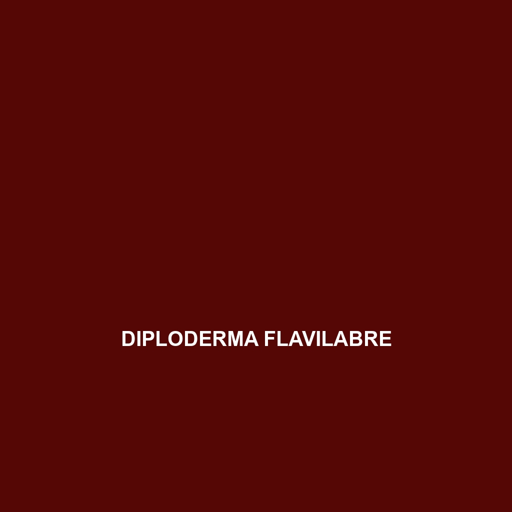 Diploderma flavilabre