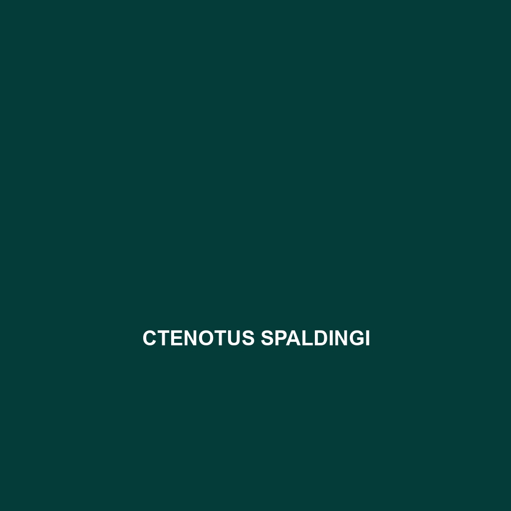 Ctenotus spaldingi