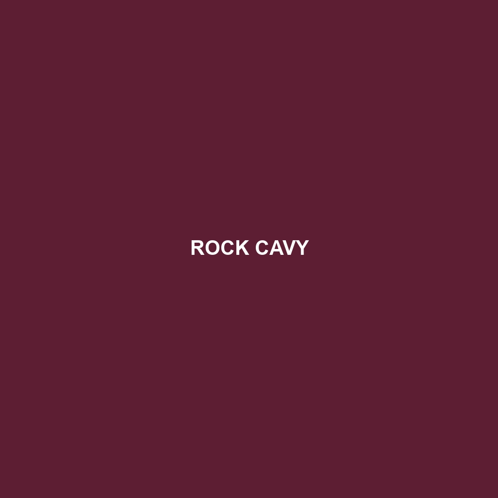 Rock Cavy