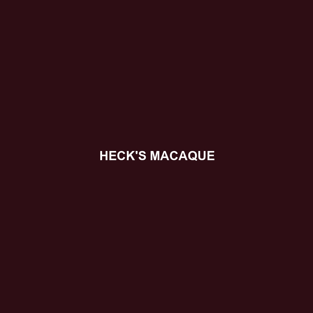 Heck's Macaque