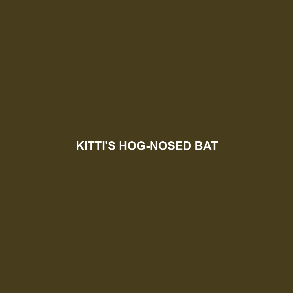 Kitti's Hog-nosed Bat