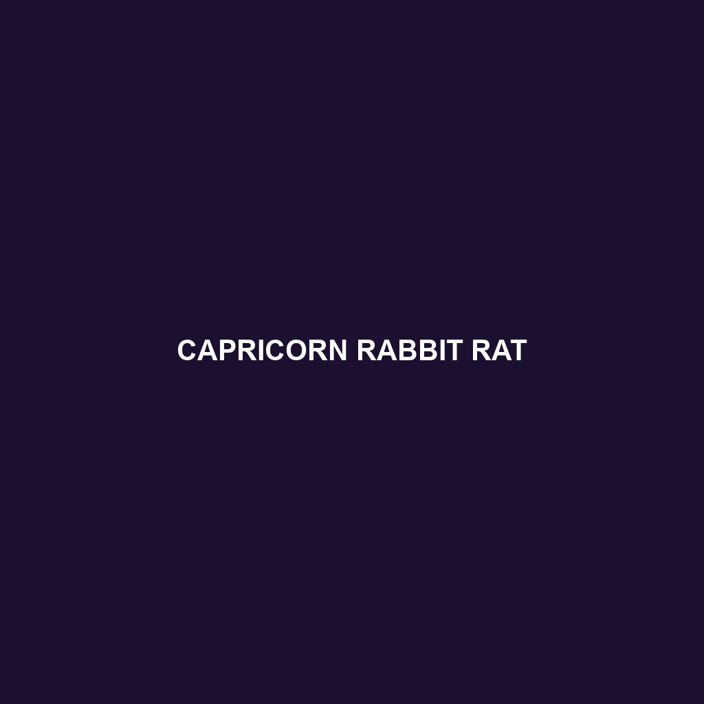 Capricorn Rabbit Rat