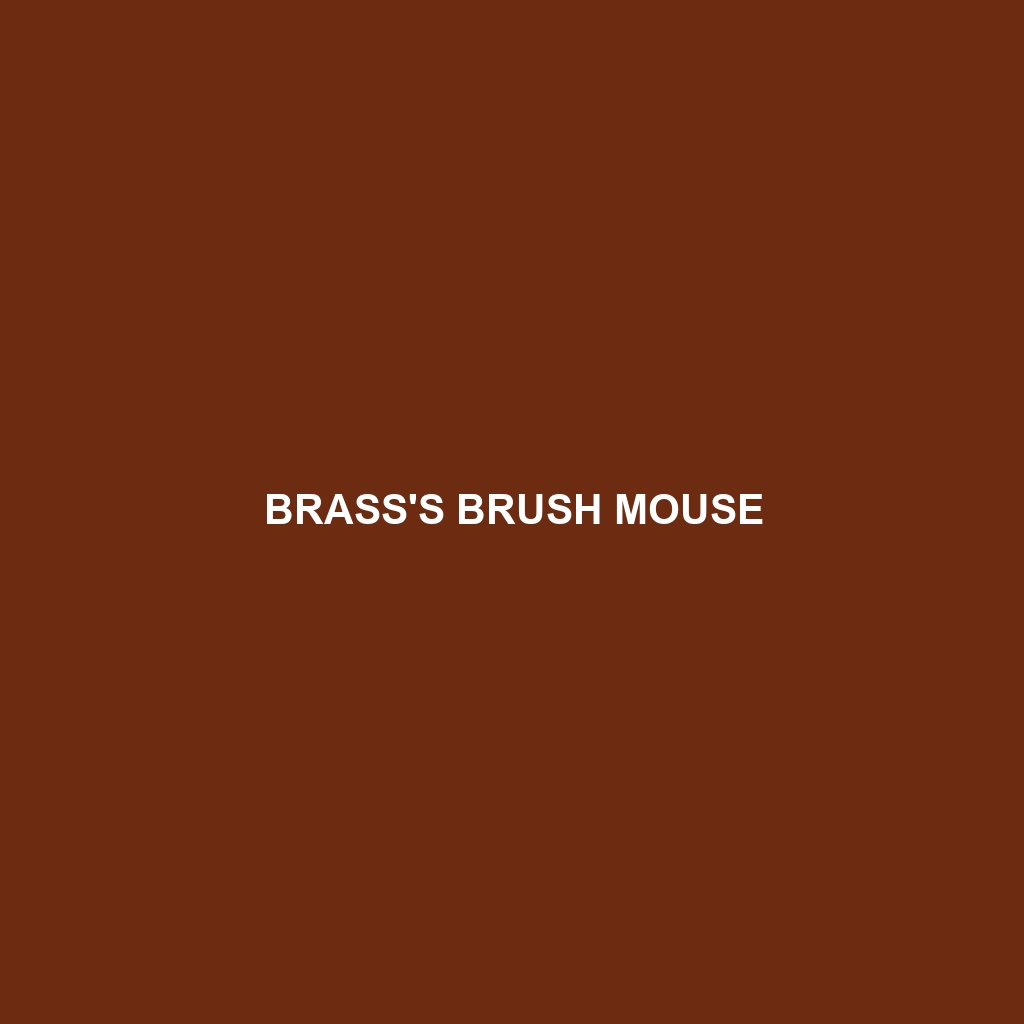 Brass's Brush Mouse