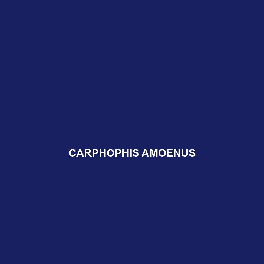 Carphophis amoenus