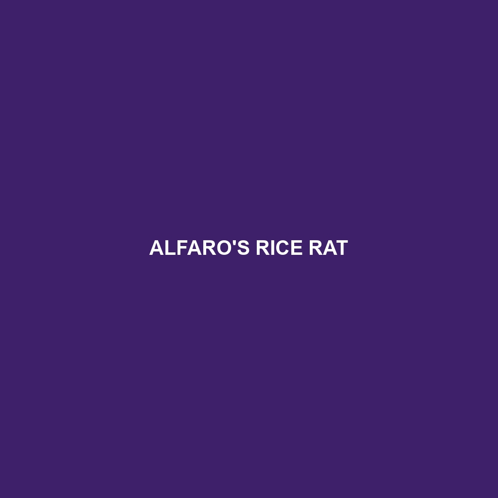 Alfaro's Rice Rat