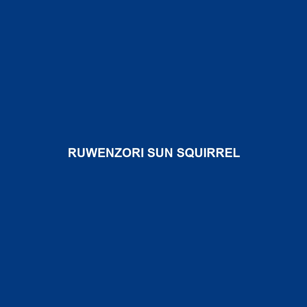 Ruwenzori Sun Squirrel