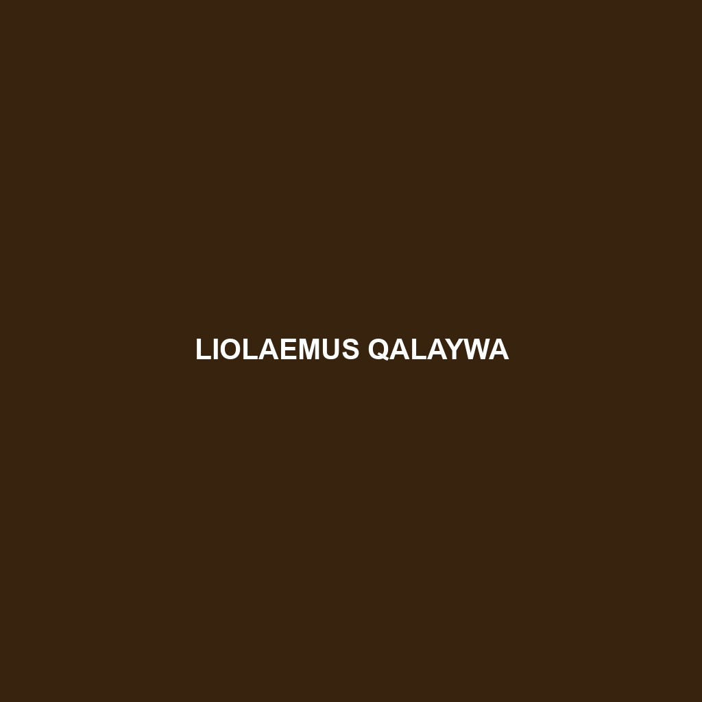 Liolaemus qalaywa