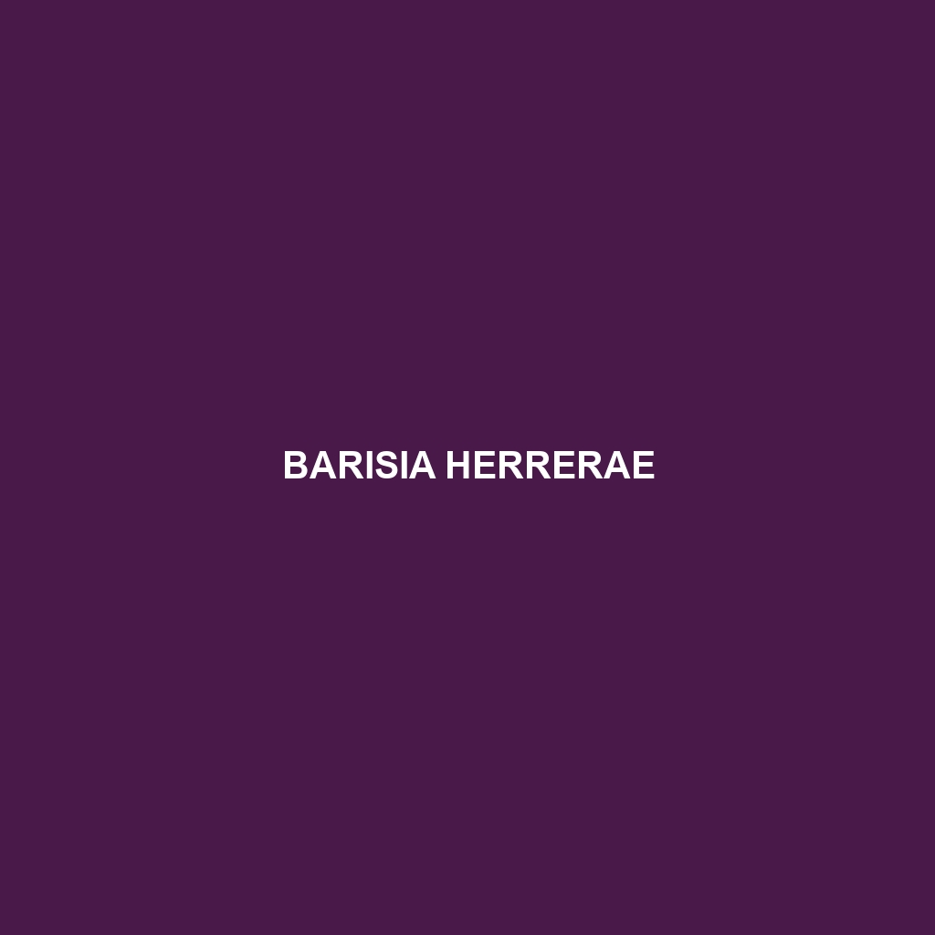 Barisia herrerae