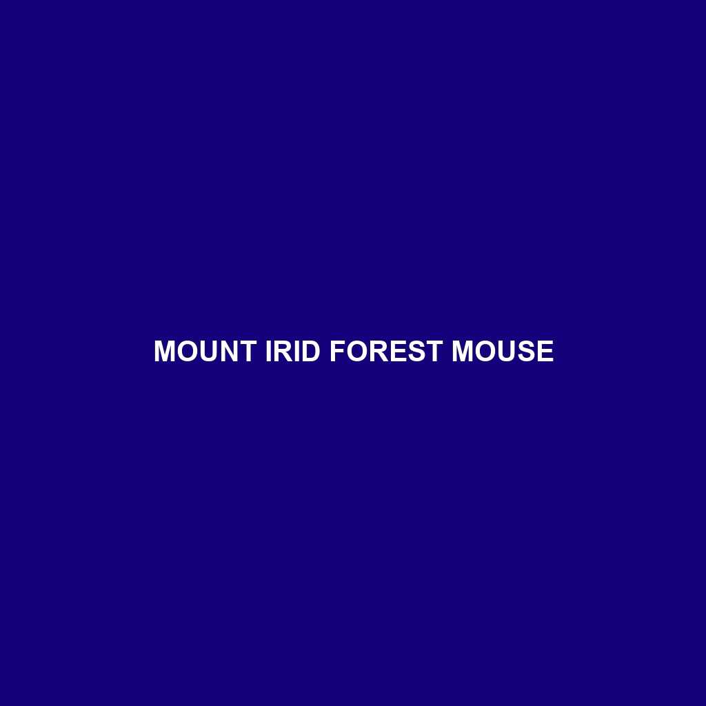 Mount Irid Forest Mouse