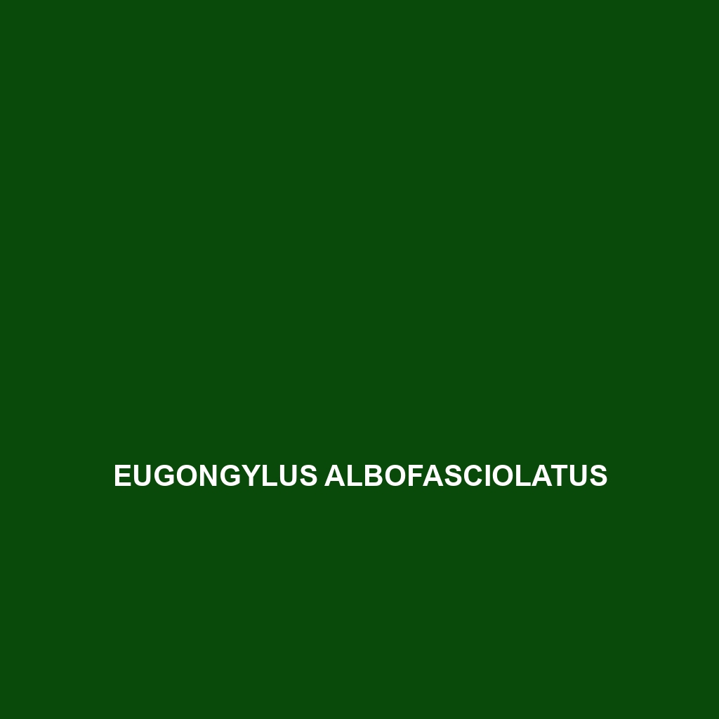 Eugongylus albofasciolatus