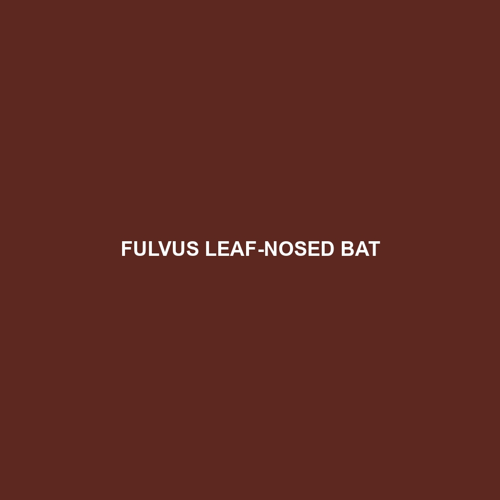 Fulvus Leaf-nosed Bat