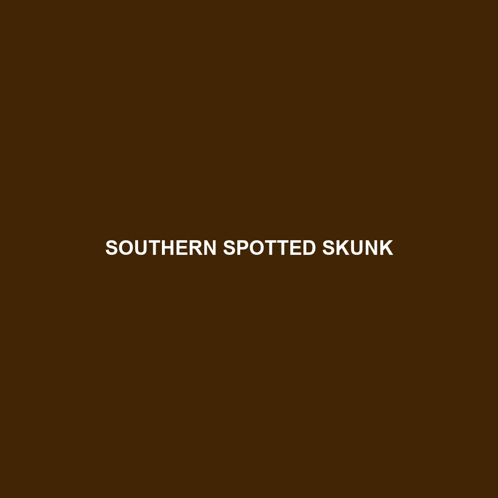 Southern Spotted Skunk