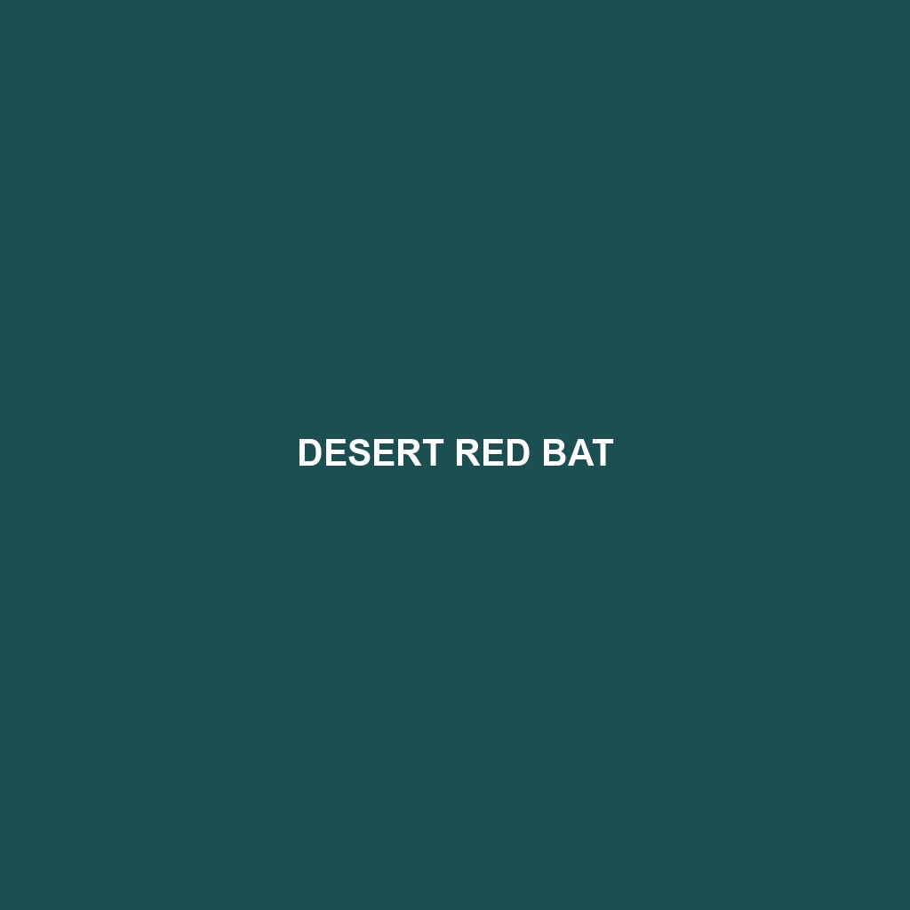 Desert Red Bat