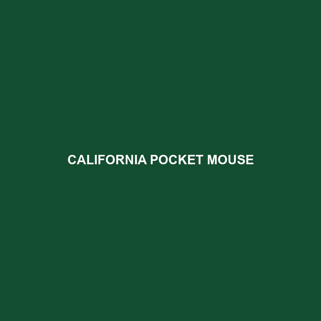 California Pocket Mouse