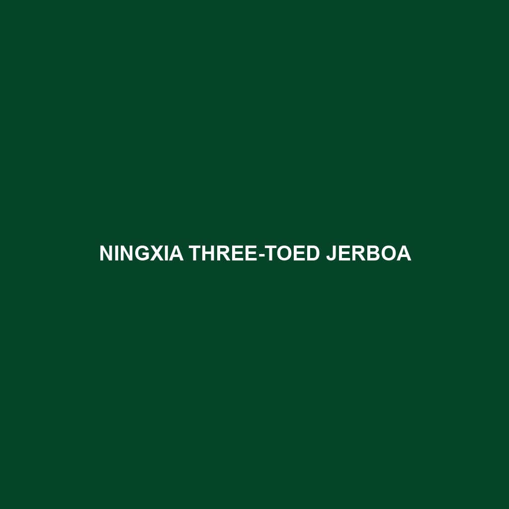 Ningxia Three-toed Jerboa