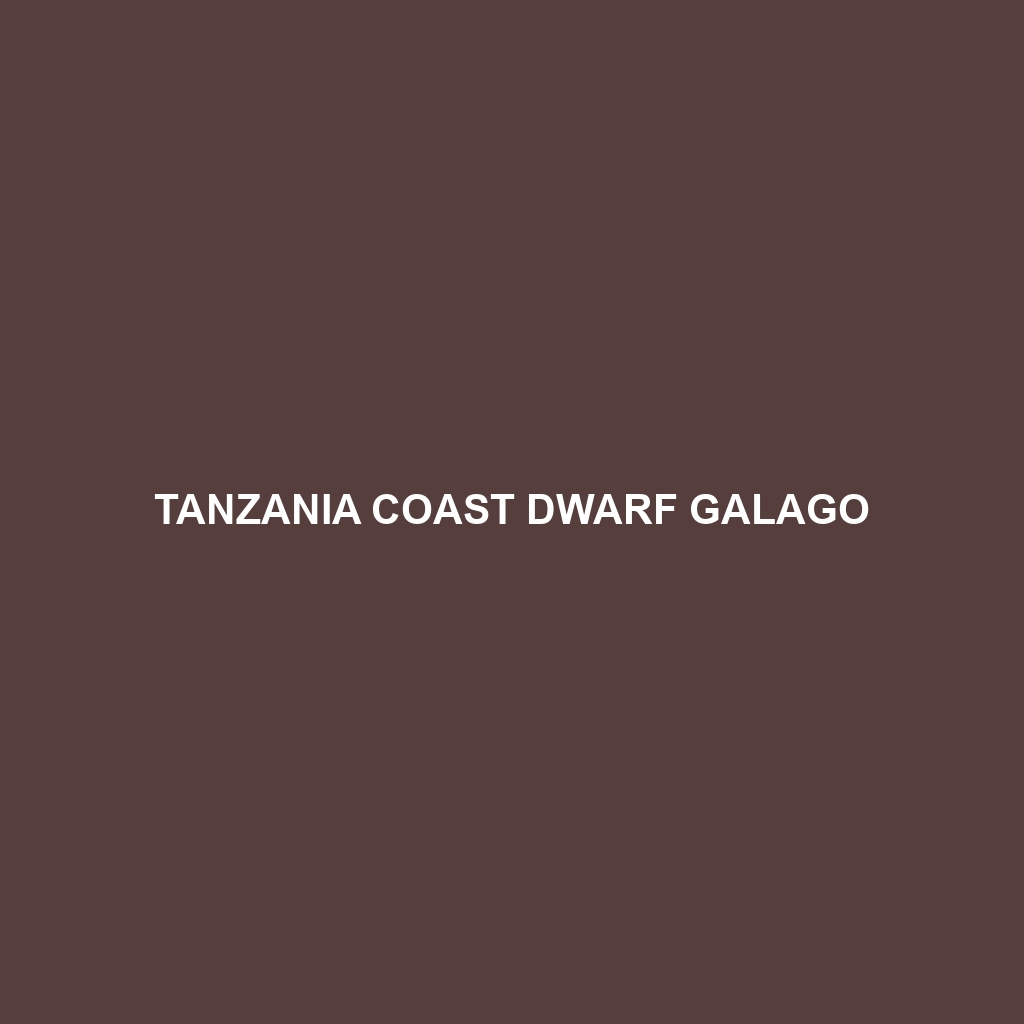 Tanzania Coast Dwarf Galago