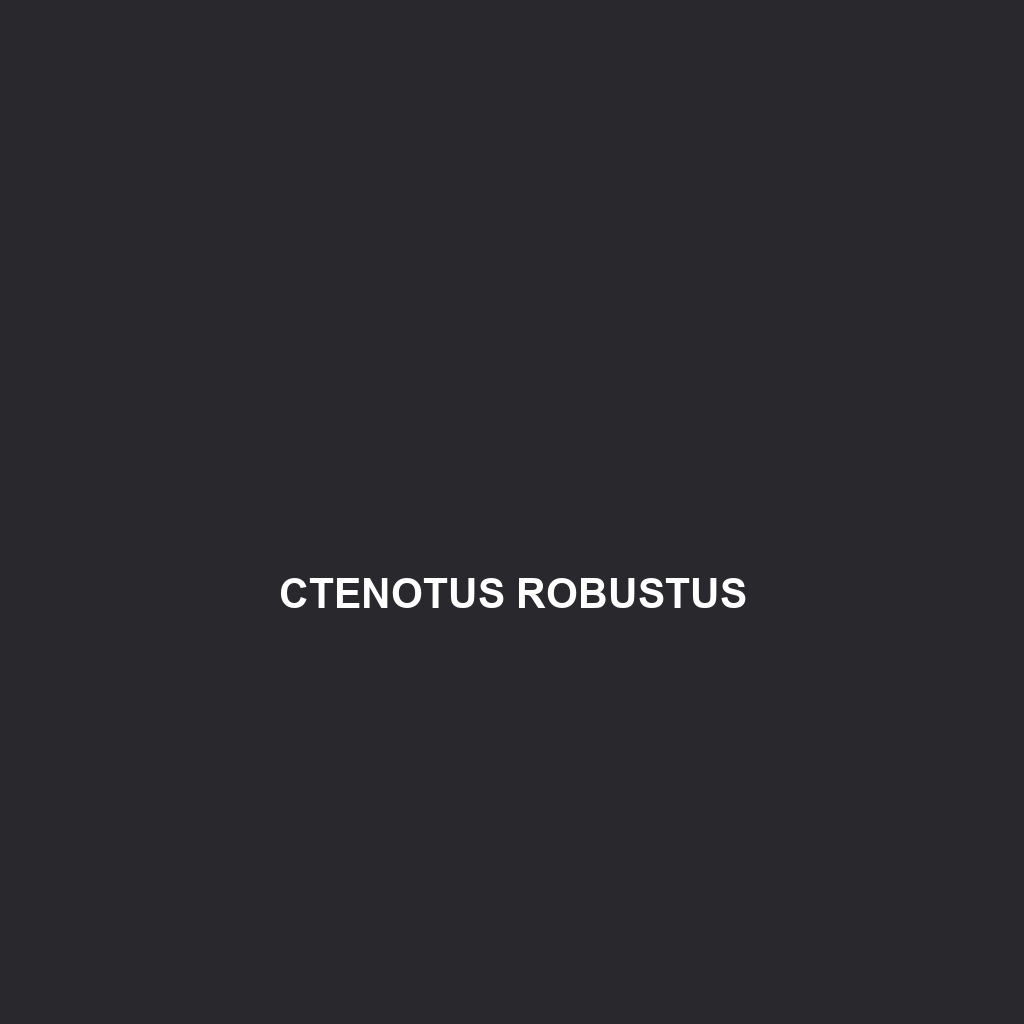 Ctenotus robustus