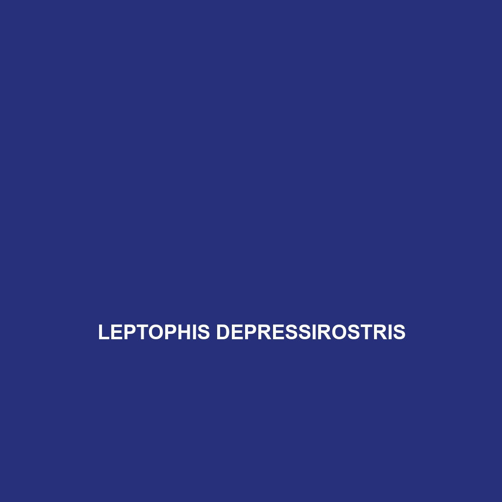 Leptophis depressirostris