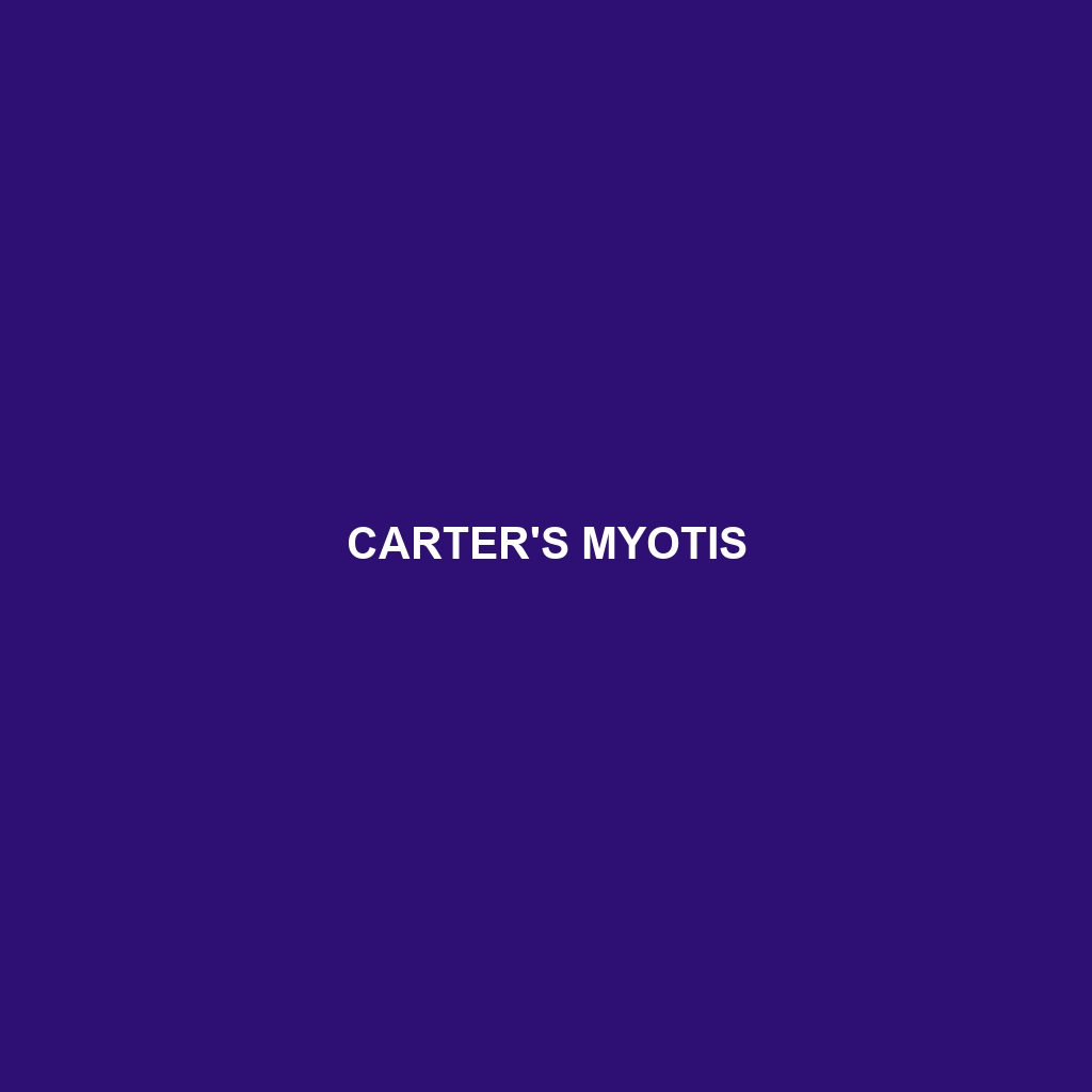 Carter's Myotis