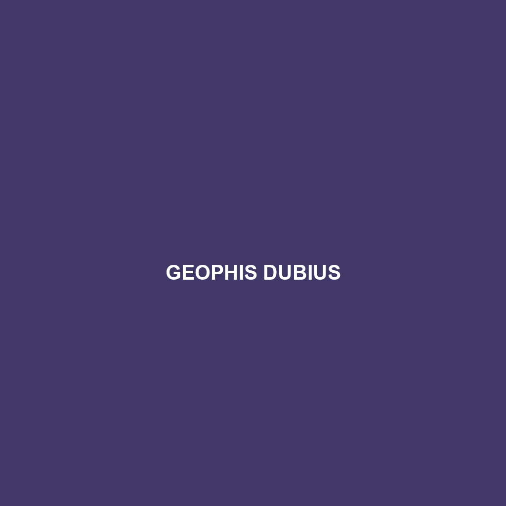 Geophis dubius