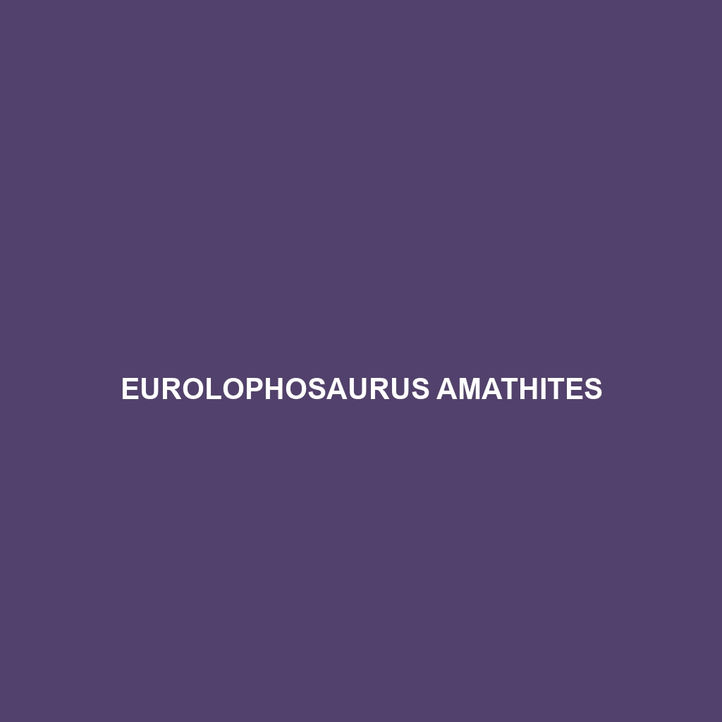 Eurolophosaurus amathites