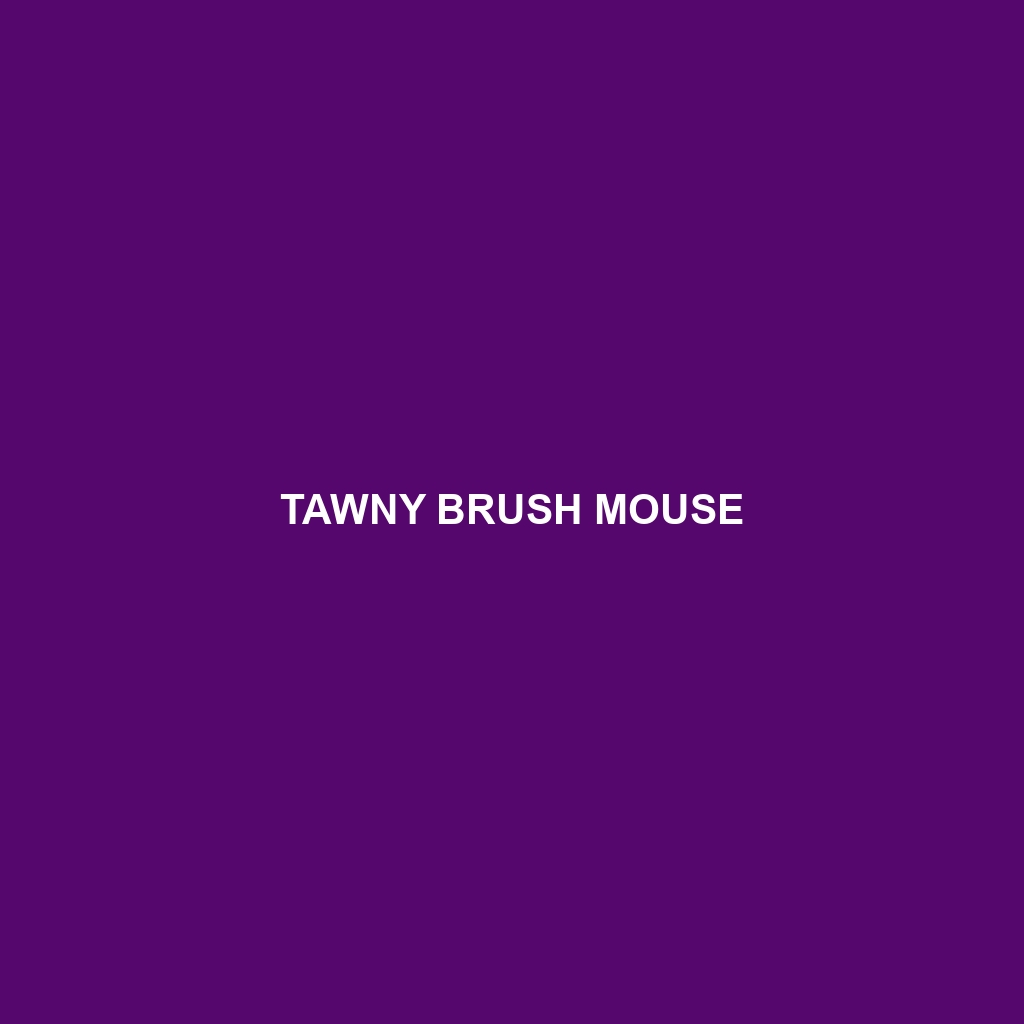 Tawny Brush Mouse