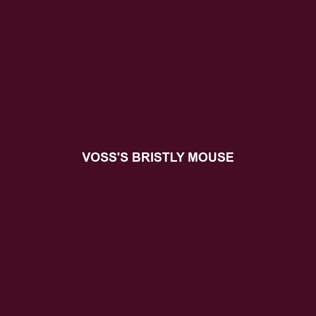 Voss's Bristly Mouse