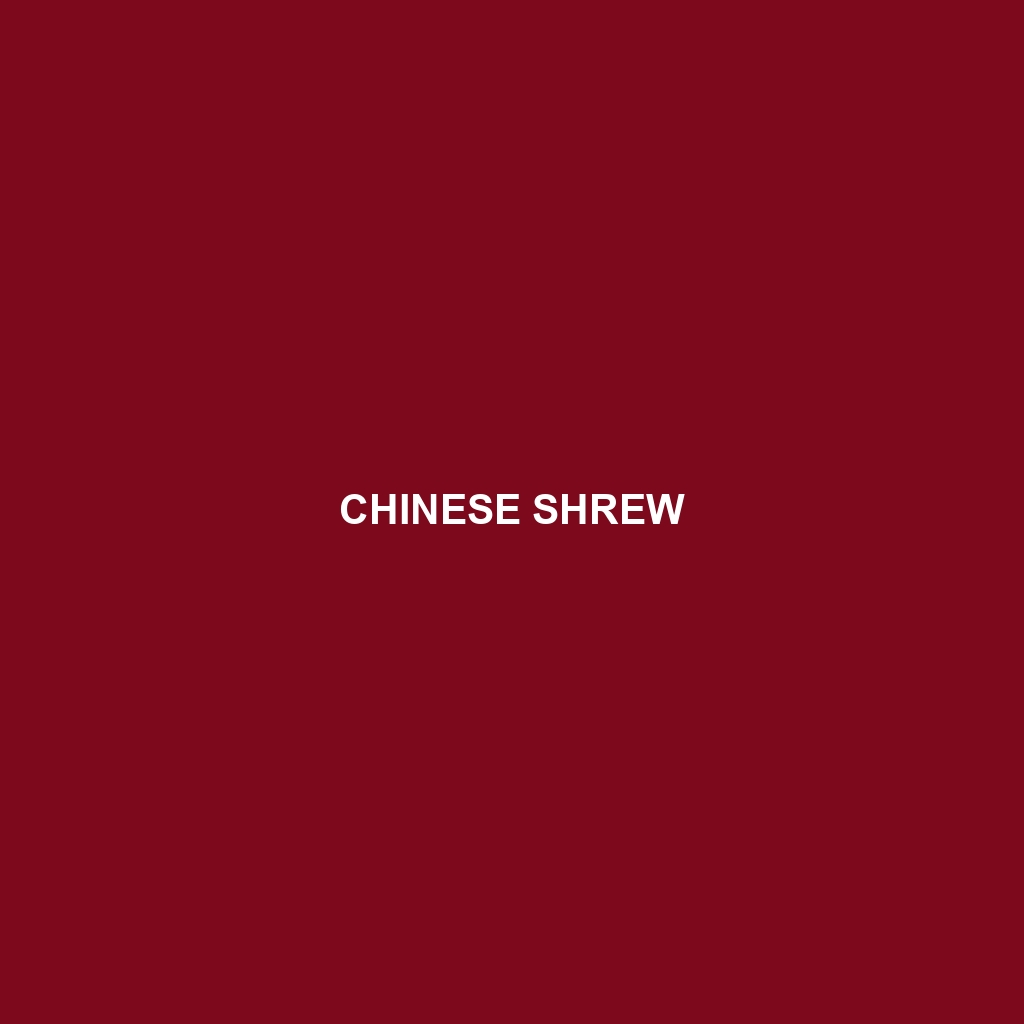 Chinese Shrew