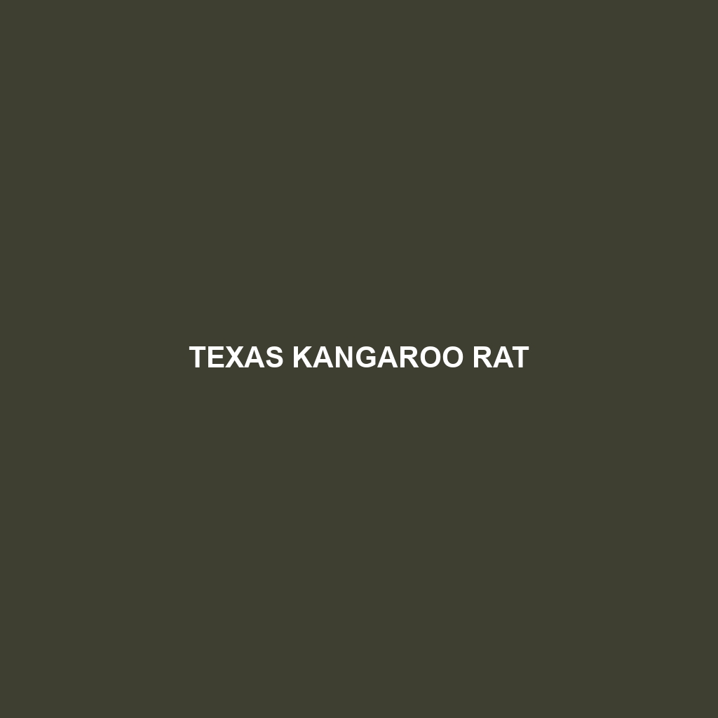 Texas Kangaroo Rat