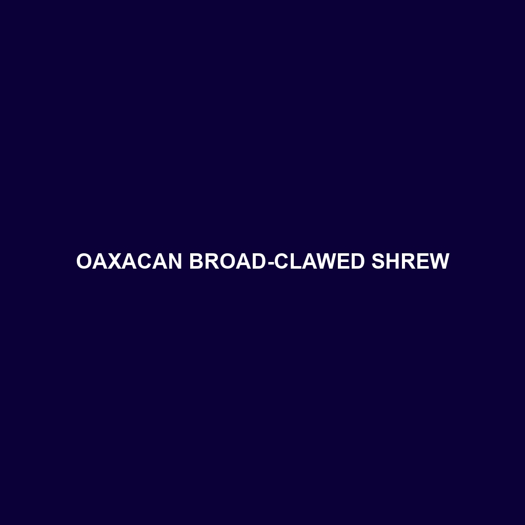 Oaxacan Broad-clawed Shrew