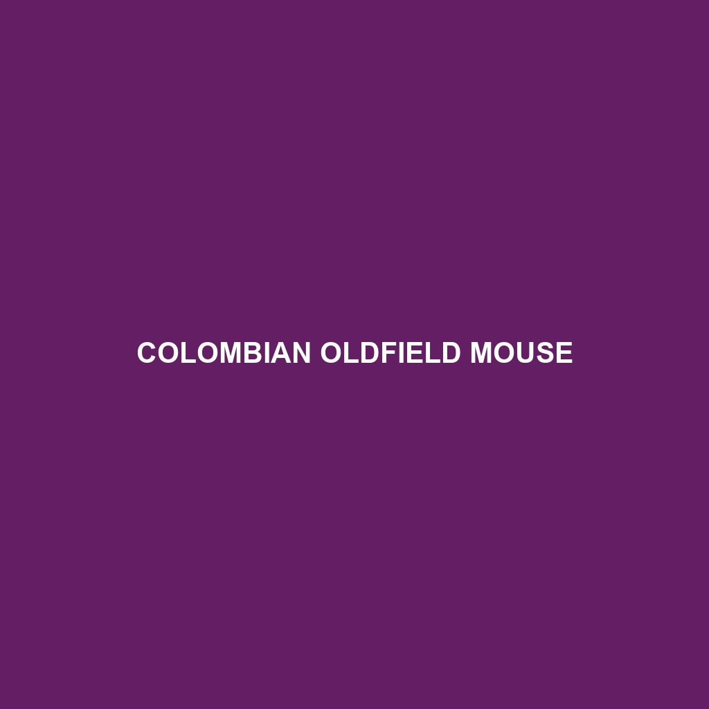 Colombian Oldfield Mouse